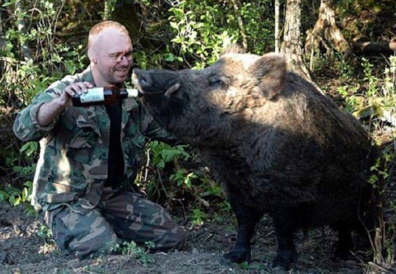 Про Игоря, остров Кабанчик и честность.